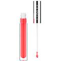 pop plush creamy lip gloss 5