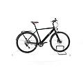 ebike ricondizionata · 2 touring-classic + · buone condizioni