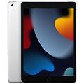 - ipad 9 (2021) 64gb wi-fi + cellular argento