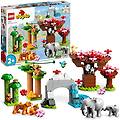 duplo fauna selvatica asiatica