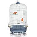 trixder cage birds luna