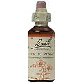 Schwabe Pharma Rock Rose Bach Orig