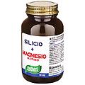 sa silicio magnesio marino 60 cps stv