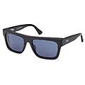 eyewear occhiali da sole we0334/s 02v