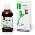 betulla bianca linfa bio macerato glicerinato 100ml
