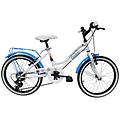 denver bike city 'frozen' 20'