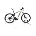ebike ricondizionata · e-cayolle · come nuovo