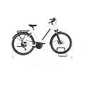 ebike ricondizionata · endeavour 3. b move · come nuovo