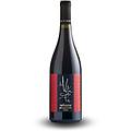 refosco dal peduncolo rosso friuli grave doc