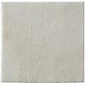coloplast alginate 10x10cm 10pz