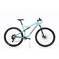 mtb ricondizionata · epic fsr gx · ottimo stato
