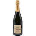 champagne horizon
