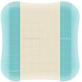 coloplast spa comfeel plus 15x15 5pz 33115