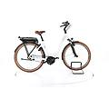 ebike ricondizionata · riese & müller swing silent · come nuovo riese &