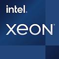 processore xeon e-2414 4 nuclei 2 6 ghz base 4 5 ghz turbo ecc lga 1700