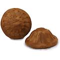 gioco per cani everlasting treat ball snack abbinabile everlasting treats tg. m (100 g)