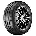fm601 255/30 r19 91w 