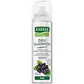 rausch dry shampooo fresh