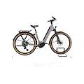 ebike ricondizionata · entice 5. b advance+ abs · come nuovo