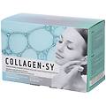 collagen-sy