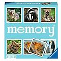 memory il classico appassionati di animali