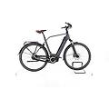 ebike ricondizionata · premium q · buone condizioni