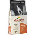 holistic maintenance m agnello fresco alimento secco per cani adulti 12kg
