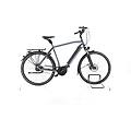 ebike ricondizionata · aeb 490 · buone condizioni
