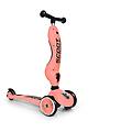 SCOOT AND RIDE monopattino highway kick 2 in 1 (s96353)