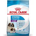 giant starter mother & babydog crocchette per cane 15 kg