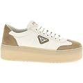 sneaker 'downtown bold'
