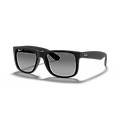 occhiali da sole justin rb 4165f (622/t3)