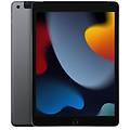 ipad 10. 2-inch wi-fi + cellular 256gb grigio siderale (mk4e3ty/a)