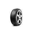 pneumatico w-586 215/45 r17 91 h xl