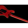 cst-24t lh paradise fla bundle paradise amber flame
