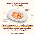 nature hfc cat busta multipack 24x55g salmone e zucca