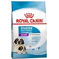 giant starter mother & babydog 15kg