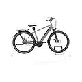 ebike ricondizionata · bristol xxl · come nuovo