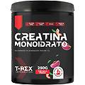 t-rex creatina monoidrato polvere integratore per sportivi in polvere gusto the alla pesca 250g