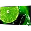 NEC multisync e328-2 32" display