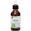Fitomedical Betulla Bianca Linfa Macerato Glicerico 100 Ml Bio