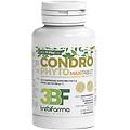 srl condrophyto 60cpr 2g