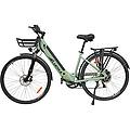 bicicletta elettrica da passeggio arturo 250w 36v 10ah