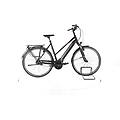 ebike ricondizionata · premio evo · buone condizioni