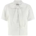camicia fusciacca