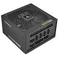 hcg-1000 gold full modular (0-761345-11773-9)