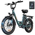 bicicletta elettrica e20 250w 48v 13ah fat tire verde