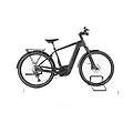 ebike ricondizionata · advanced trekking pro x · buone condizioni advanced e-bike