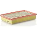 filtro aria c30153/1