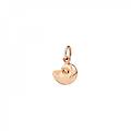 charm conchiglia dmc1013_shels_0009r